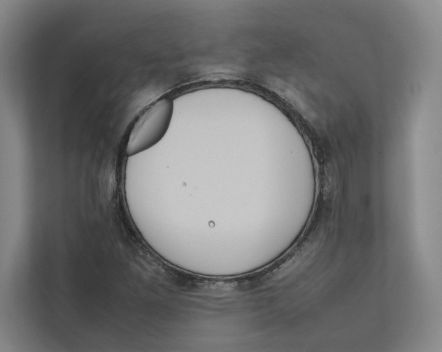 X0000111811261200908201103