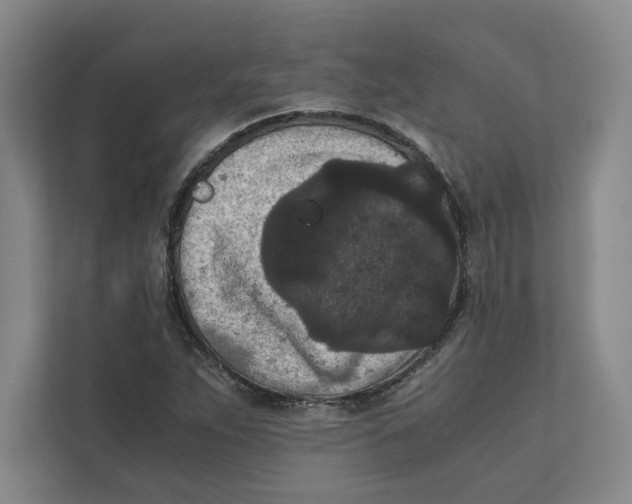 X0000111811263200908201103