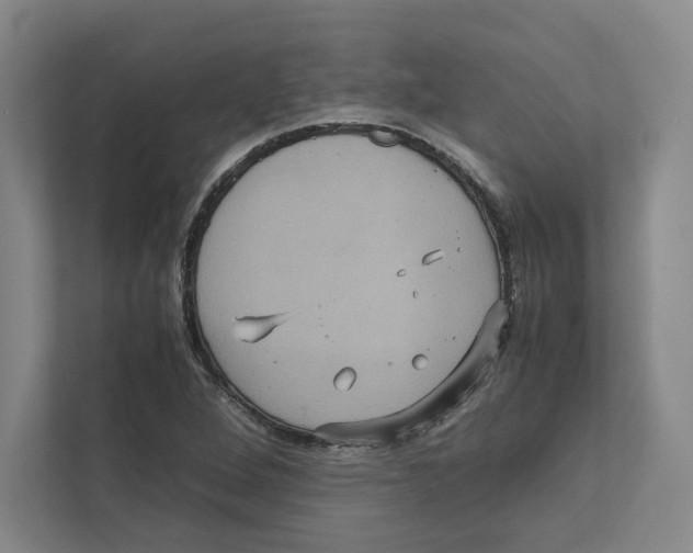 X0000111811264200908201103