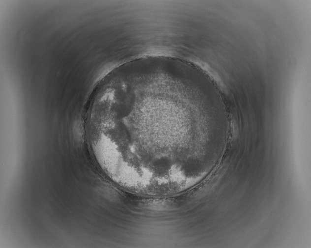 X0000111811266200908201103