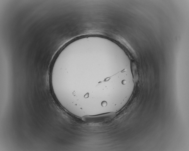 X0000111811268200908201103