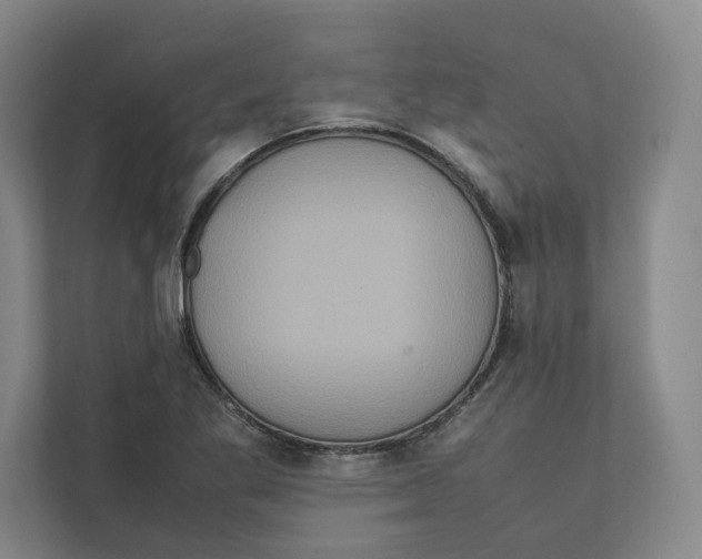 X0000111811269200908201103