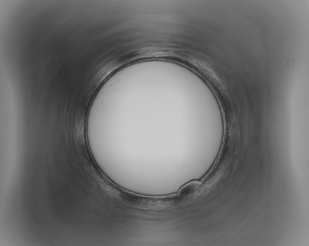 X0000111811273200908201103