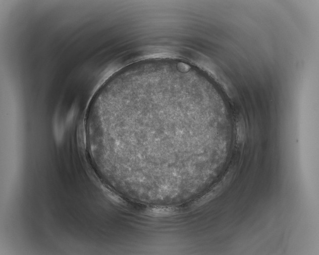 X0000111811274200908201103