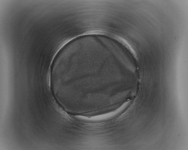 X0000111811276200908201103