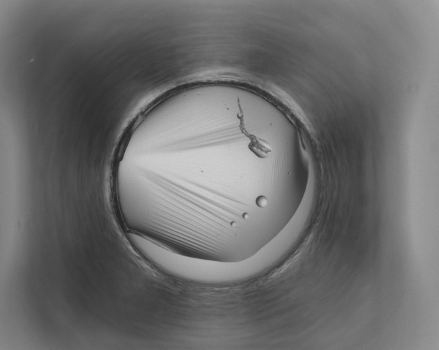 X0000111811277200908201103