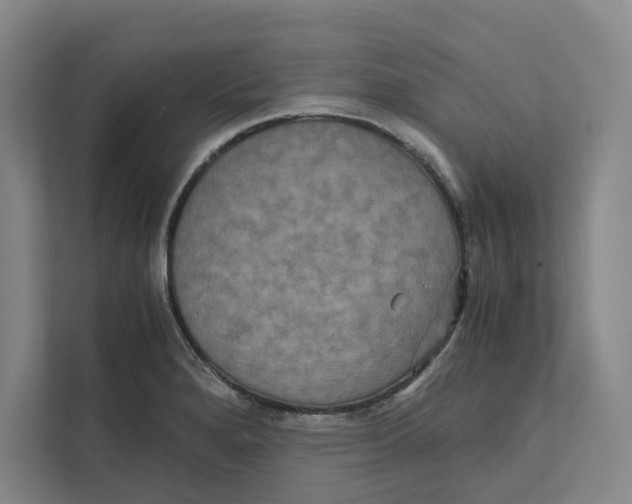X0000111811280200908201103