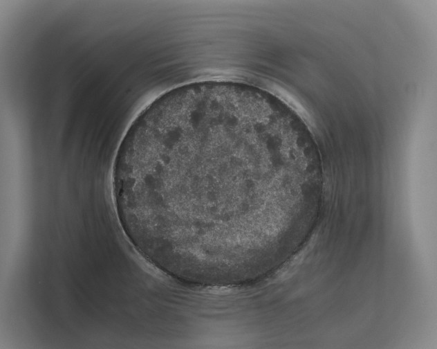 X0000111811283200908201103