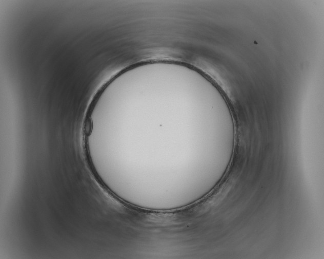 X0000111811285200908201103