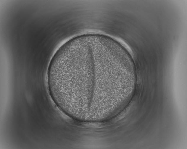 X0000111811287200908201103