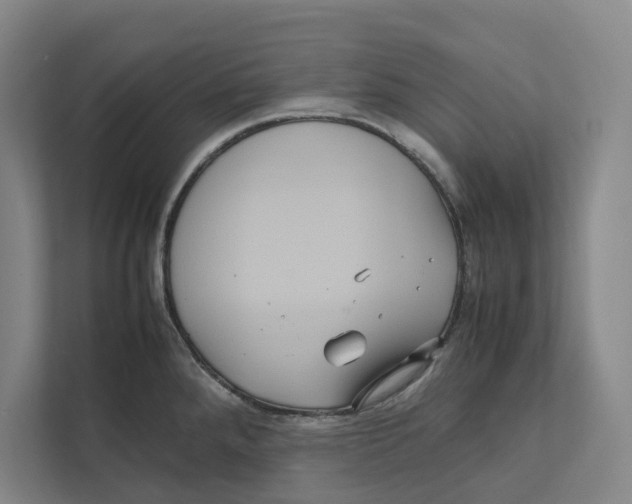X0000111811288200908201103