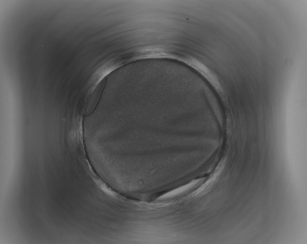 X0000111811289200908201103