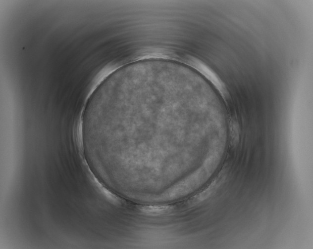 X0000111811290200908201103