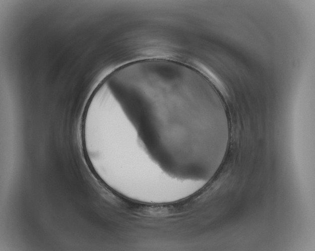 X0000111811291200908201103