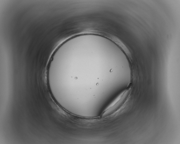 X0000111811292200908201103