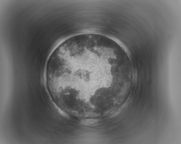 X0000111811294200908201103
