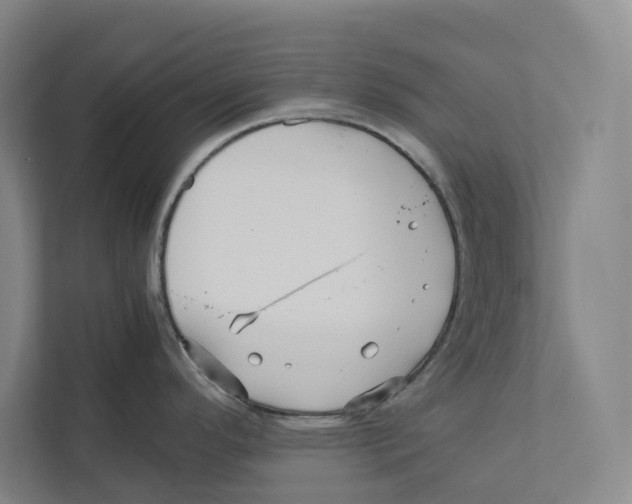 X0000111811296200908201103