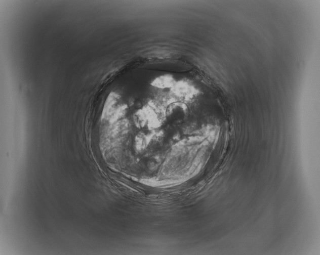 X0000111811297200908201102
