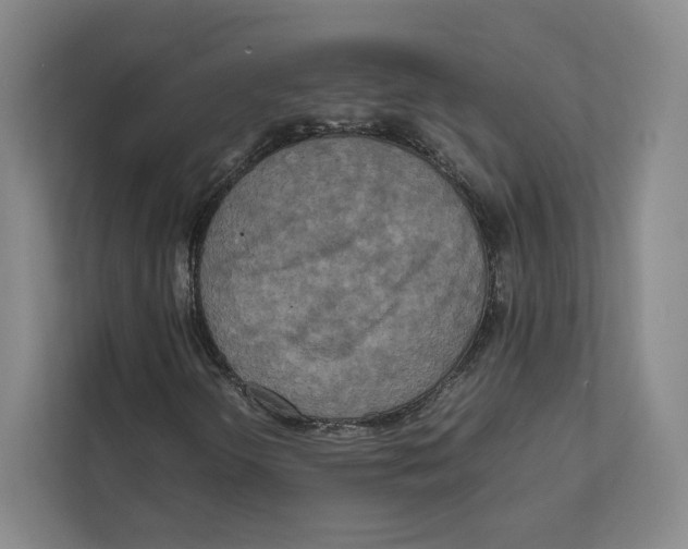 X0000111811298200908201102
