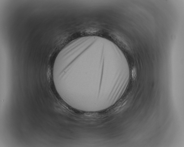 X0000111811299200908201102