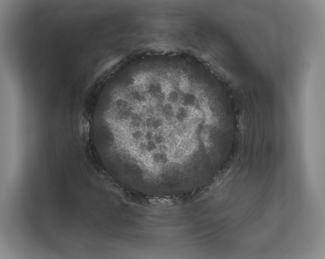 X0000111811302200908201102