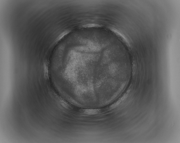 X0000111811305200908201102