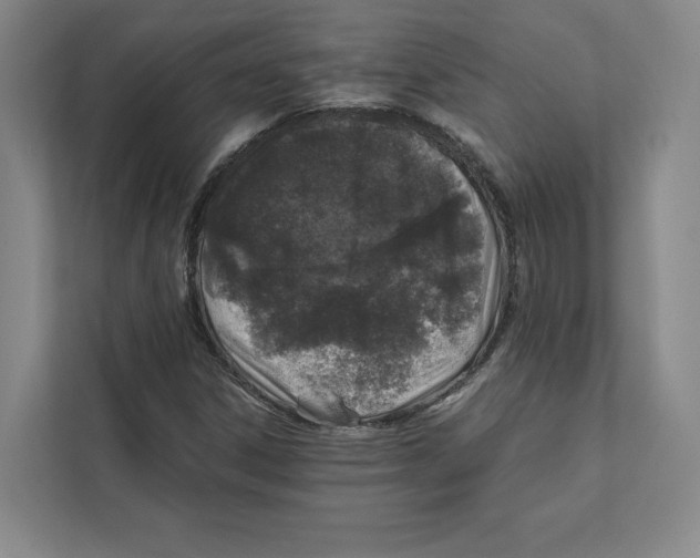 X0000111811306200908201102
