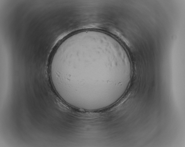 X0000111811308200908201102