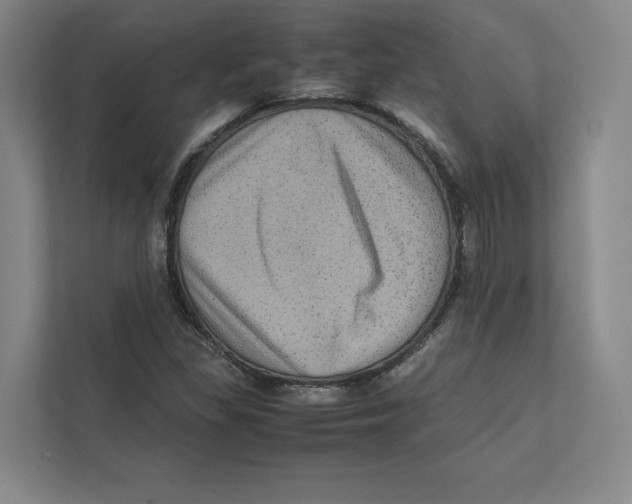 X0000111811309200908201102