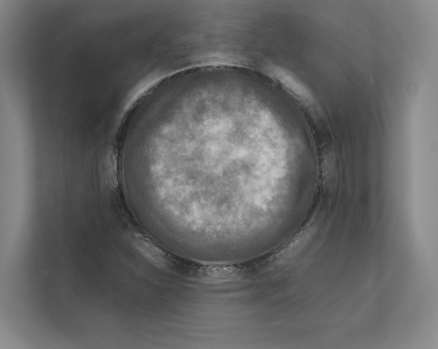 X0000111811310200908201102