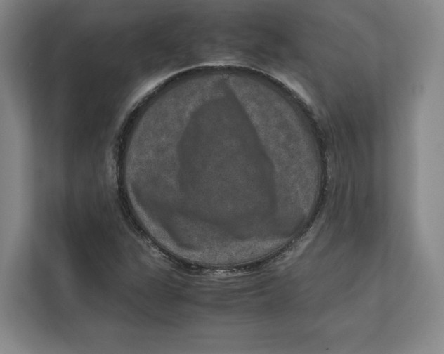 X0000111811311200908201102