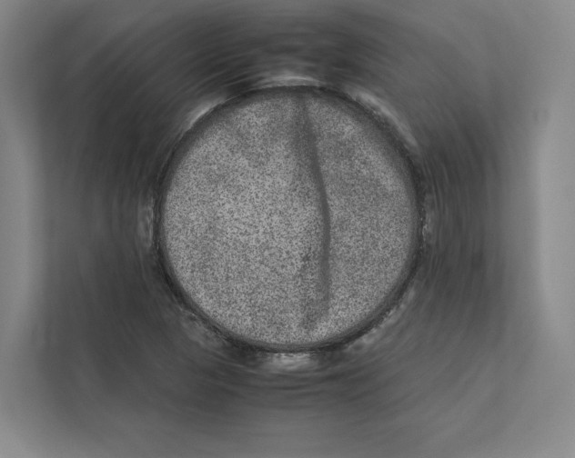 X0000111811313200908201102