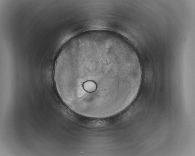 X0000111811314200908201102
