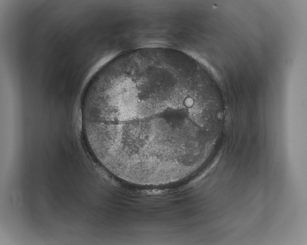 X0000111811317200908201102
