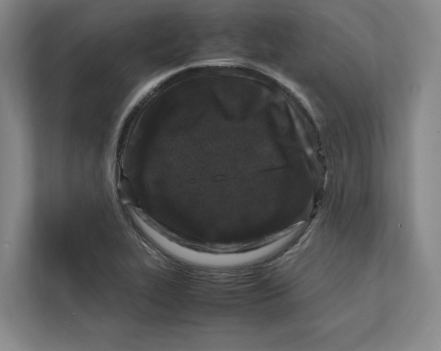 X0000111811319200908201102