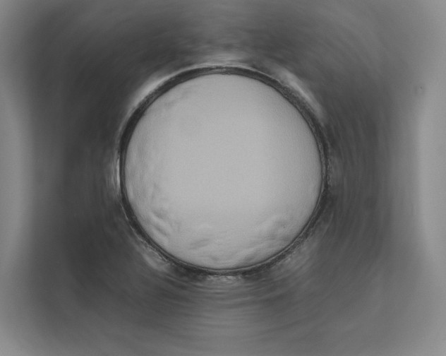 X0000111811320200908201102