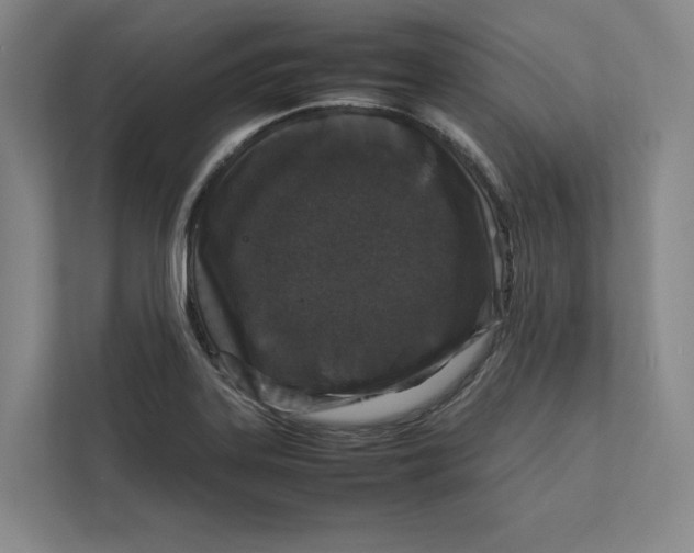 X0000111811323200908201102