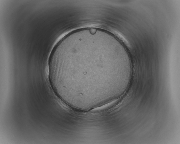 X0000111811324200908201102