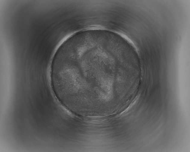 X0000111811325200908201102