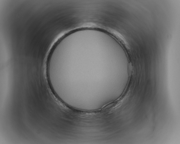 X0000111811326200908201102