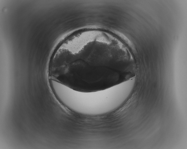 X0000111811327200908201102