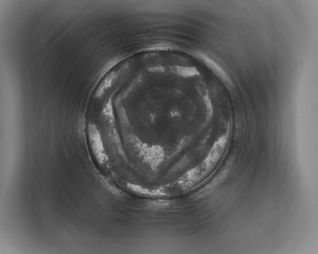 X0000111811329200908201102
