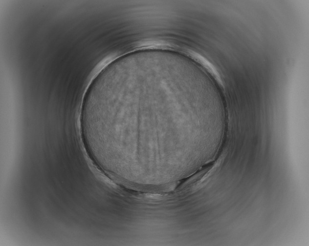 X0000111811330200908201102