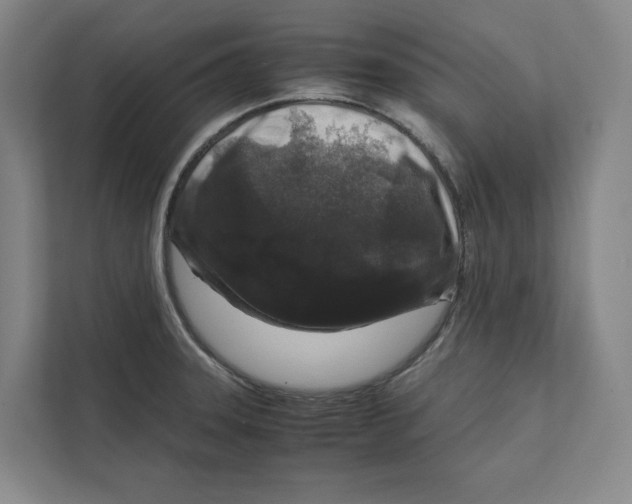 X0000111811331200908201102