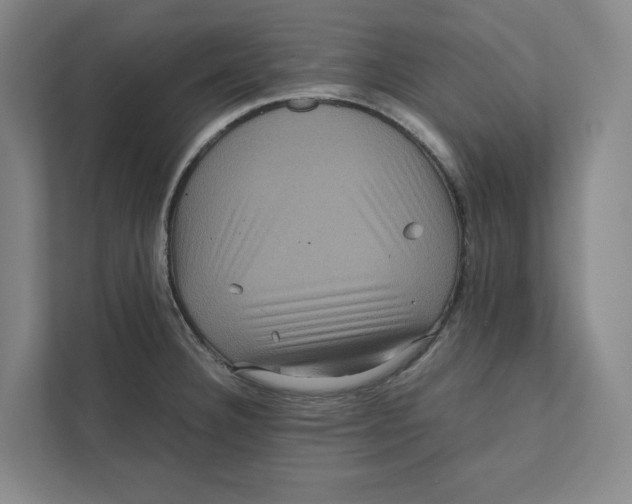 X0000111811332200908201102