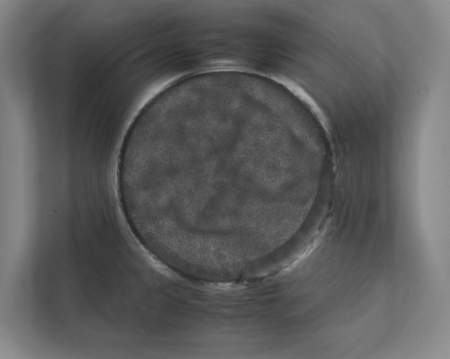X0000111811333200908201102