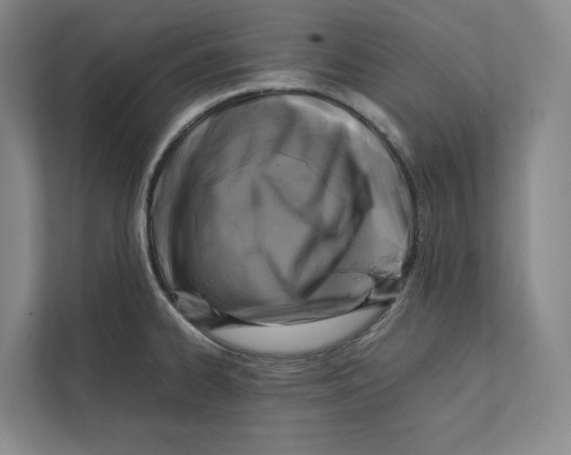 X0000111811334200908201102