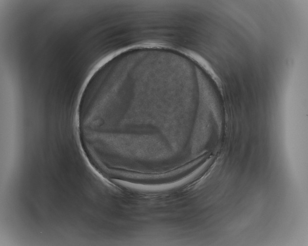 X0000111811335200908201102