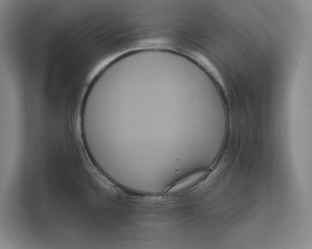 X0000111811336200908201102