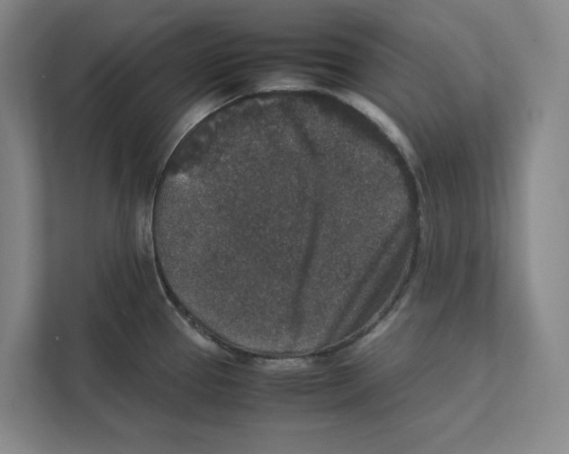 X0000111811337200908201102